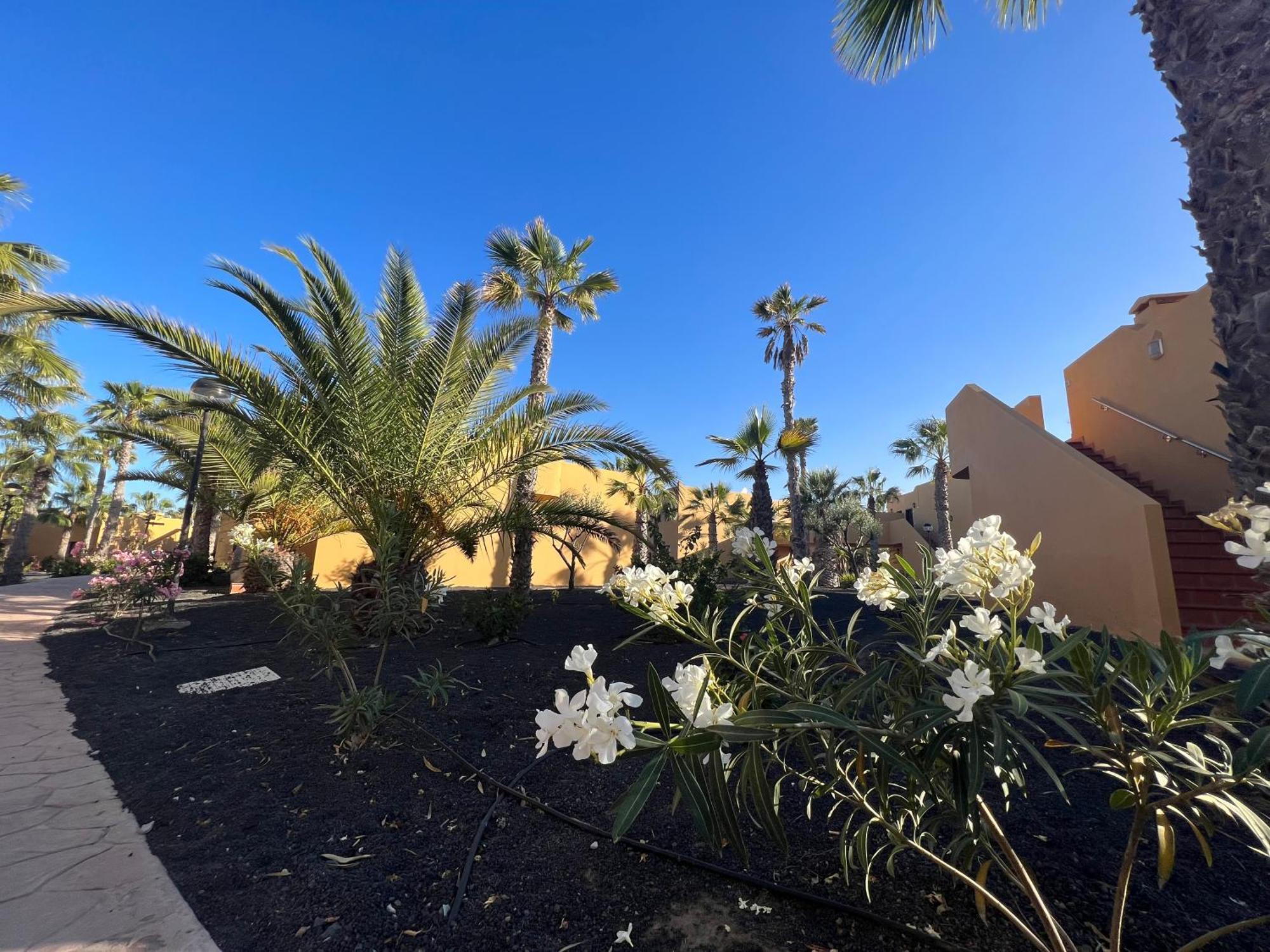 Casa De Leon Apartment Corralejo Luaran gambar
